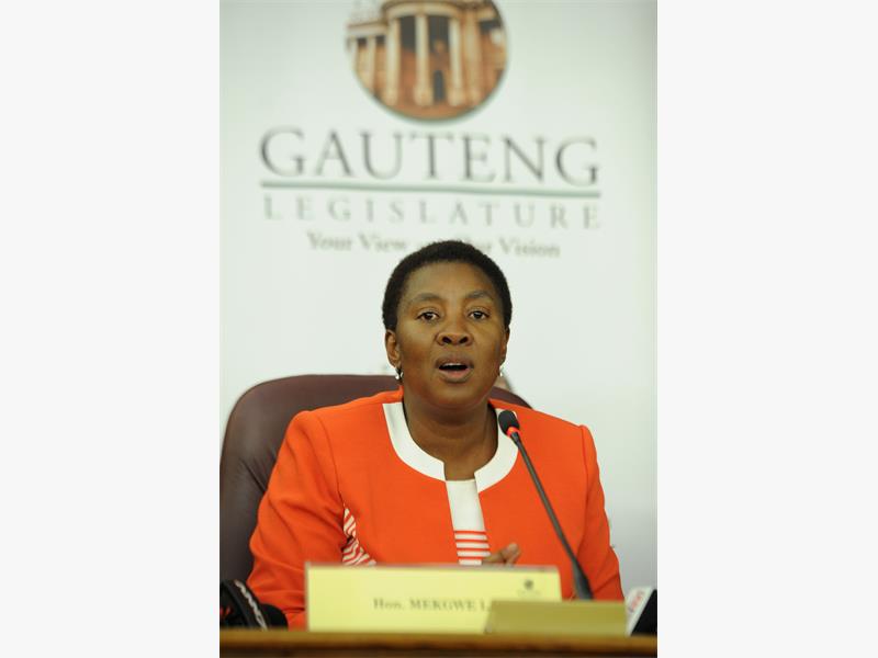 Speaker in the Gauteng Legislature Ntombi Mekgwe addresses a press briefing on the removal of EFF members from the legislature during a sitting in Johannesburg.