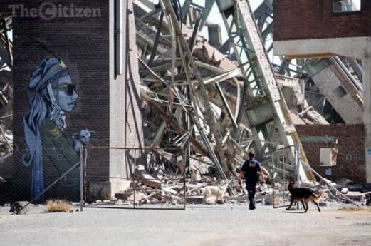 Rescue workers take sniffer dogs into the collapsed power park building, Soweto, 25 June 2014. The building collapsed early this morning after suspected metal thieves were in the building possibly causing the collapse and trapping 4 of them. Picture: Tracy Lee Stark
